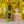 Load image into Gallery viewer, Green Jalapeño Hot Sauce