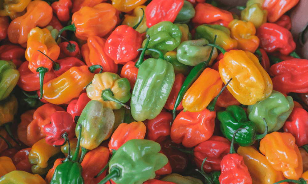  The Difference Between Habanero and Jalapeño Peppers 