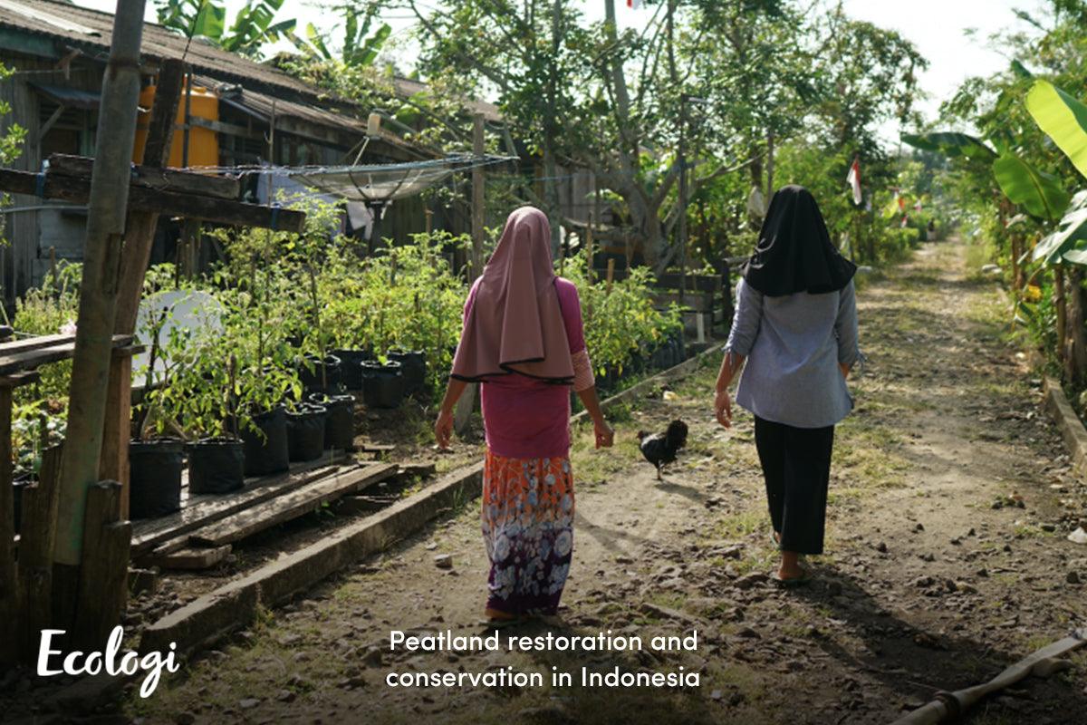  Project Funded: Peatland Restoration and Conservation in Indonesia - Sauce Shop 